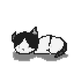 Nicht mehr schlafende Katze